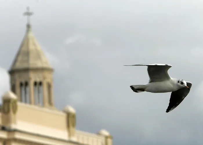 Guest house Riva Palace 4*