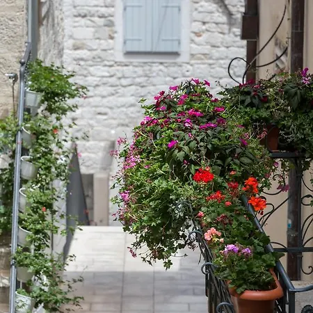 Affittacamere Riva Palace