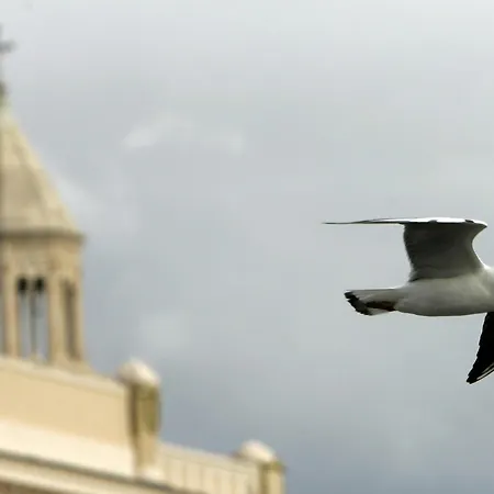 Gæstehus Riva Palace 4*